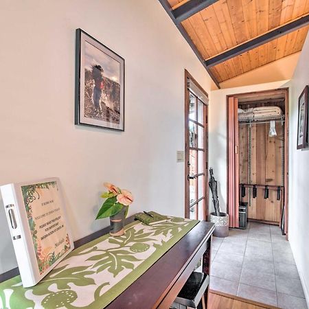 Cozy Volcano Studio With Phenomenal Rainforest Views Mountain View Exteriér fotografie