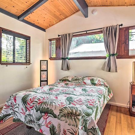 Cozy Volcano Studio With Phenomenal Rainforest Views Mountain View Exteriér fotografie