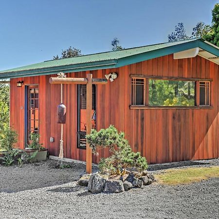 Cozy Volcano Studio With Phenomenal Rainforest Views Mountain View Exteriér fotografie