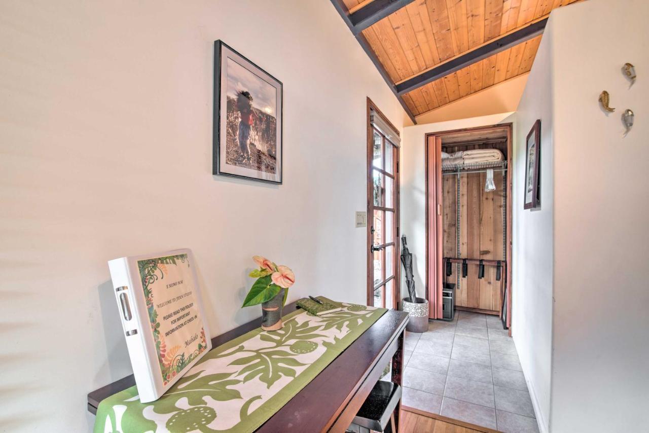 Cozy Volcano Studio With Phenomenal Rainforest Views Mountain View Exteriér fotografie